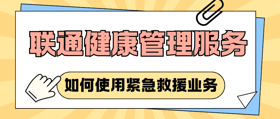 365套餐网